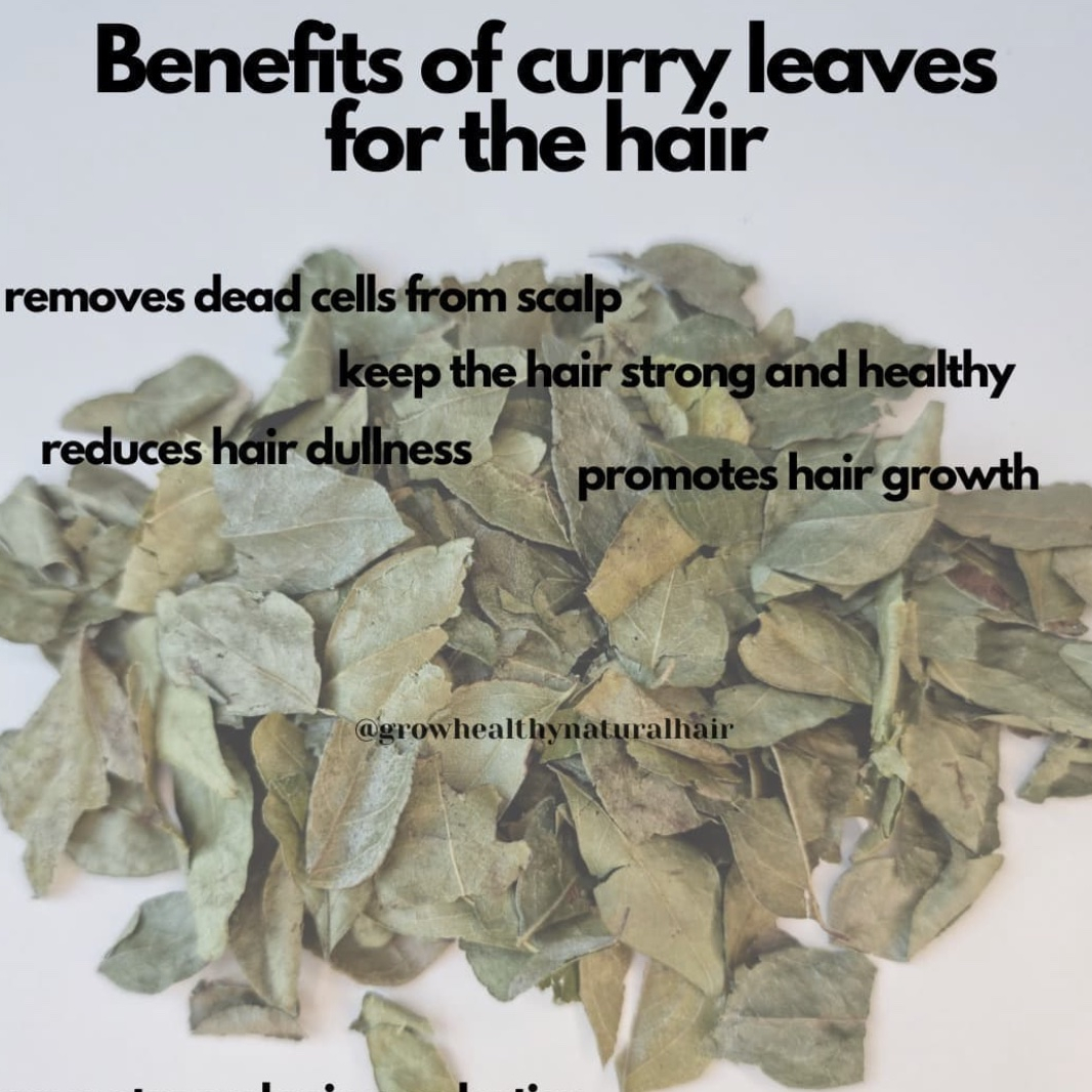 Curry leaves and natural hair BeautySecrets
